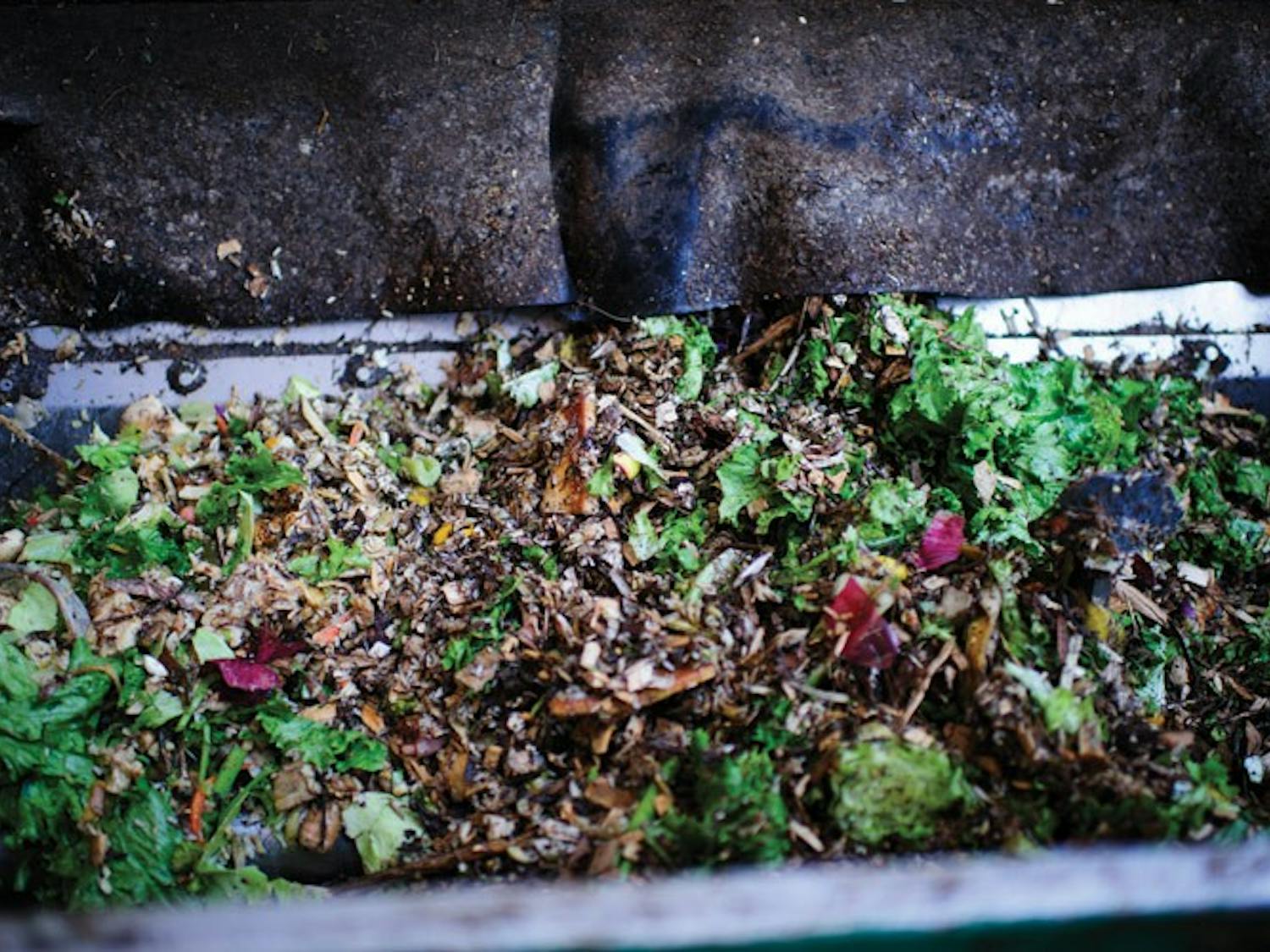 The 'Gobbler': Gorging on garbage