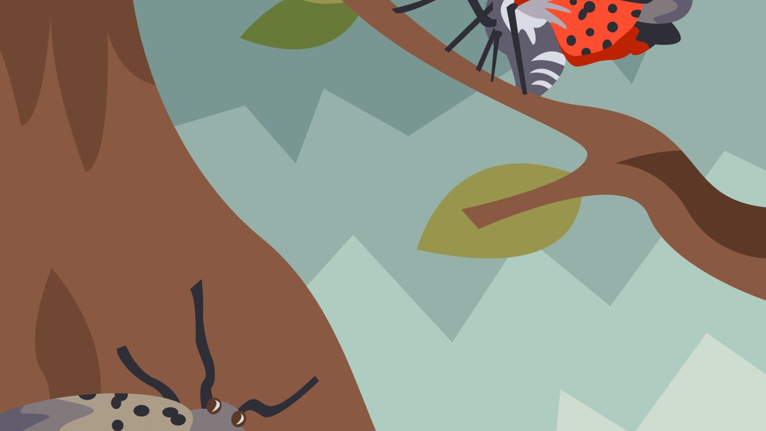 Hogg_Spotted Lantern Fly_Stauffer.png