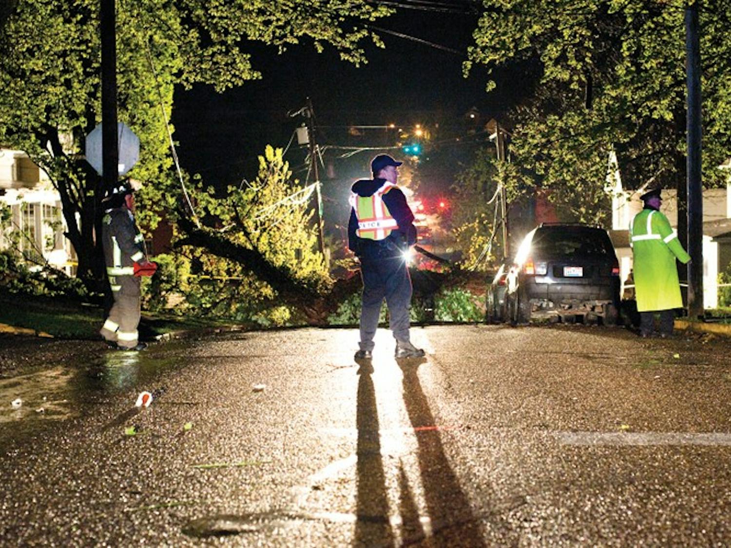 Tree causes outages, crushes car  