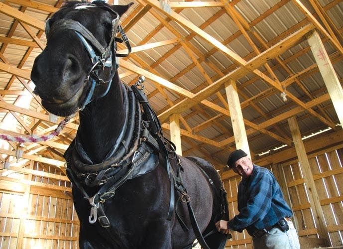 Video: Hutchison's Carriage and Wagon Service  