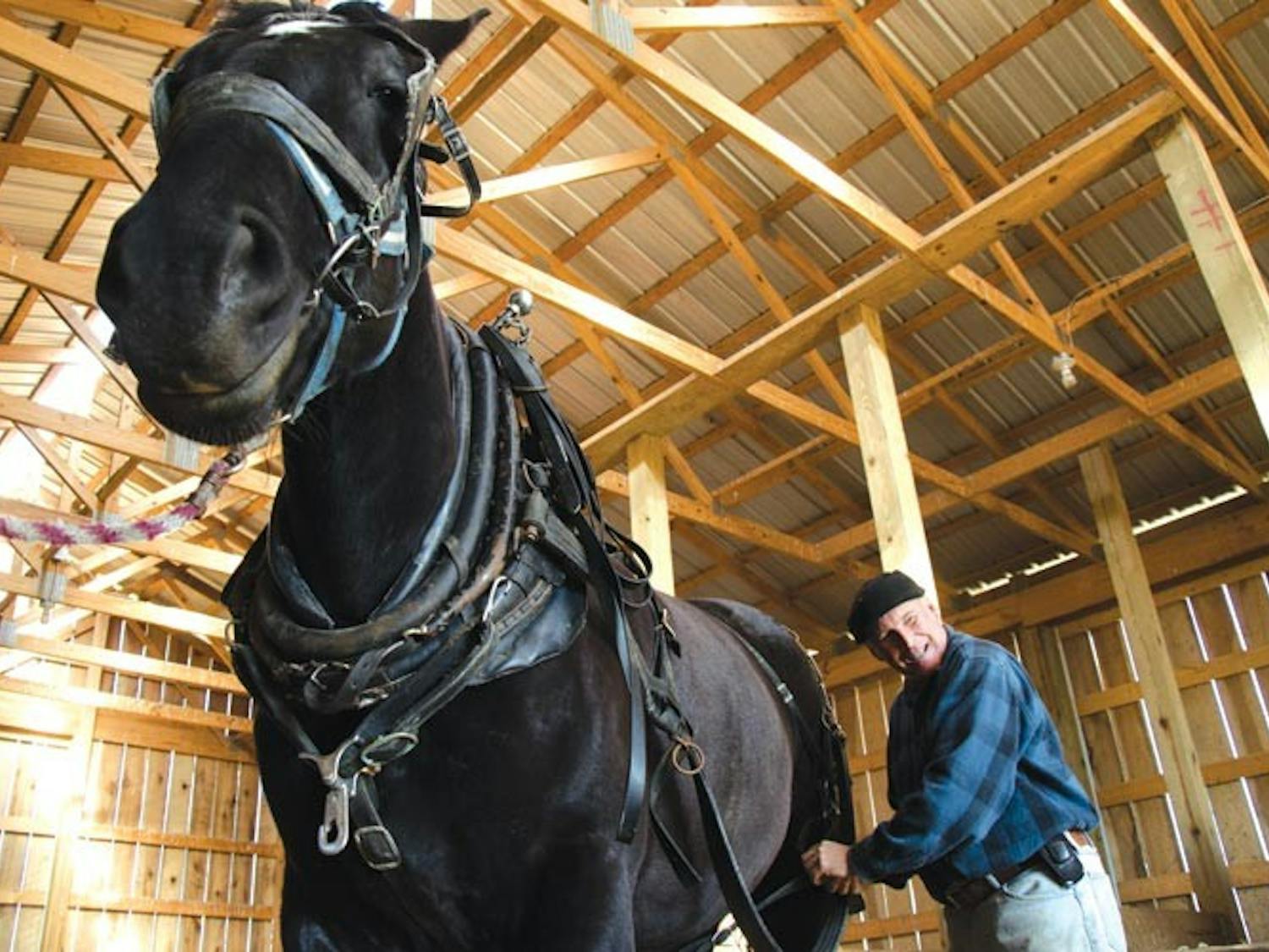Video: Hutchison's Carriage and Wagon Service
