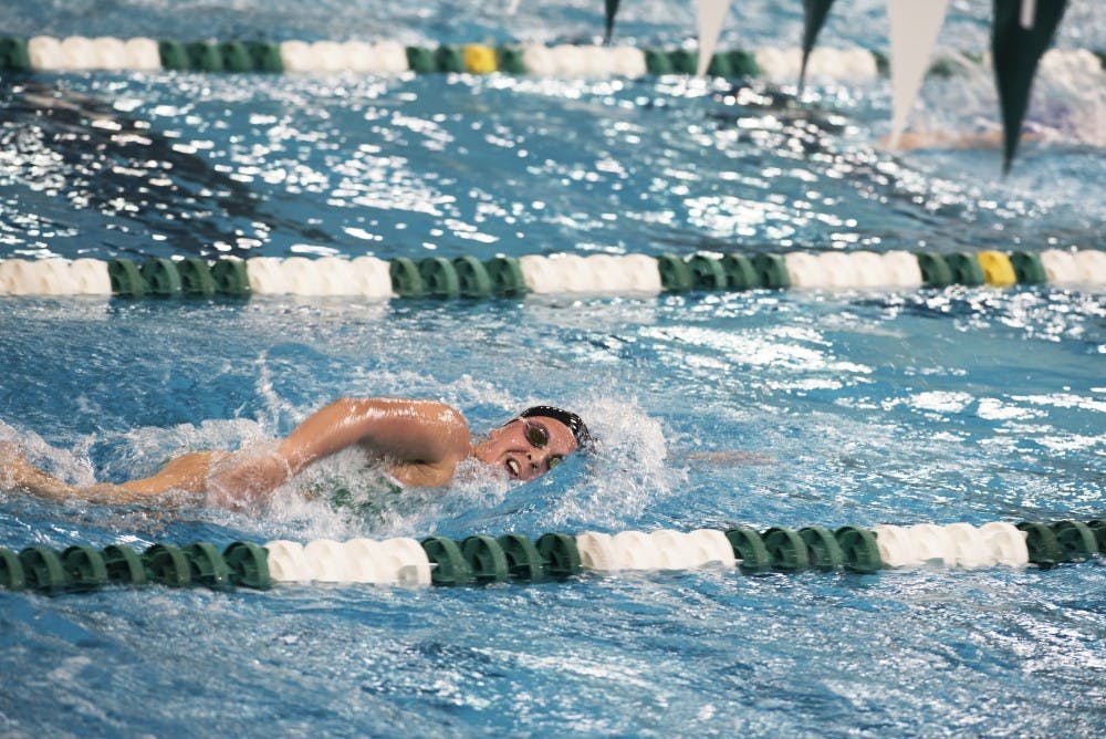 SwimnDive.jpg