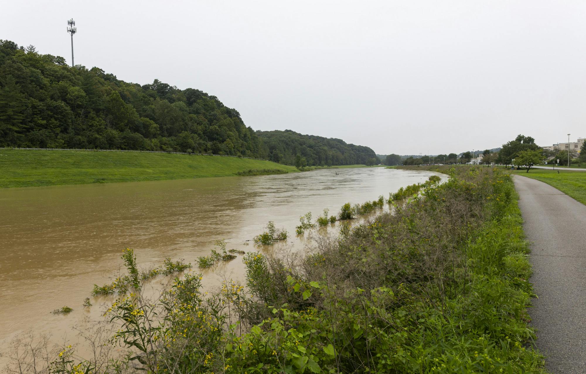 FloodingRecap_8:12:26_Herx.jpg