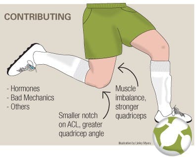 Scars tell common story among athletes  