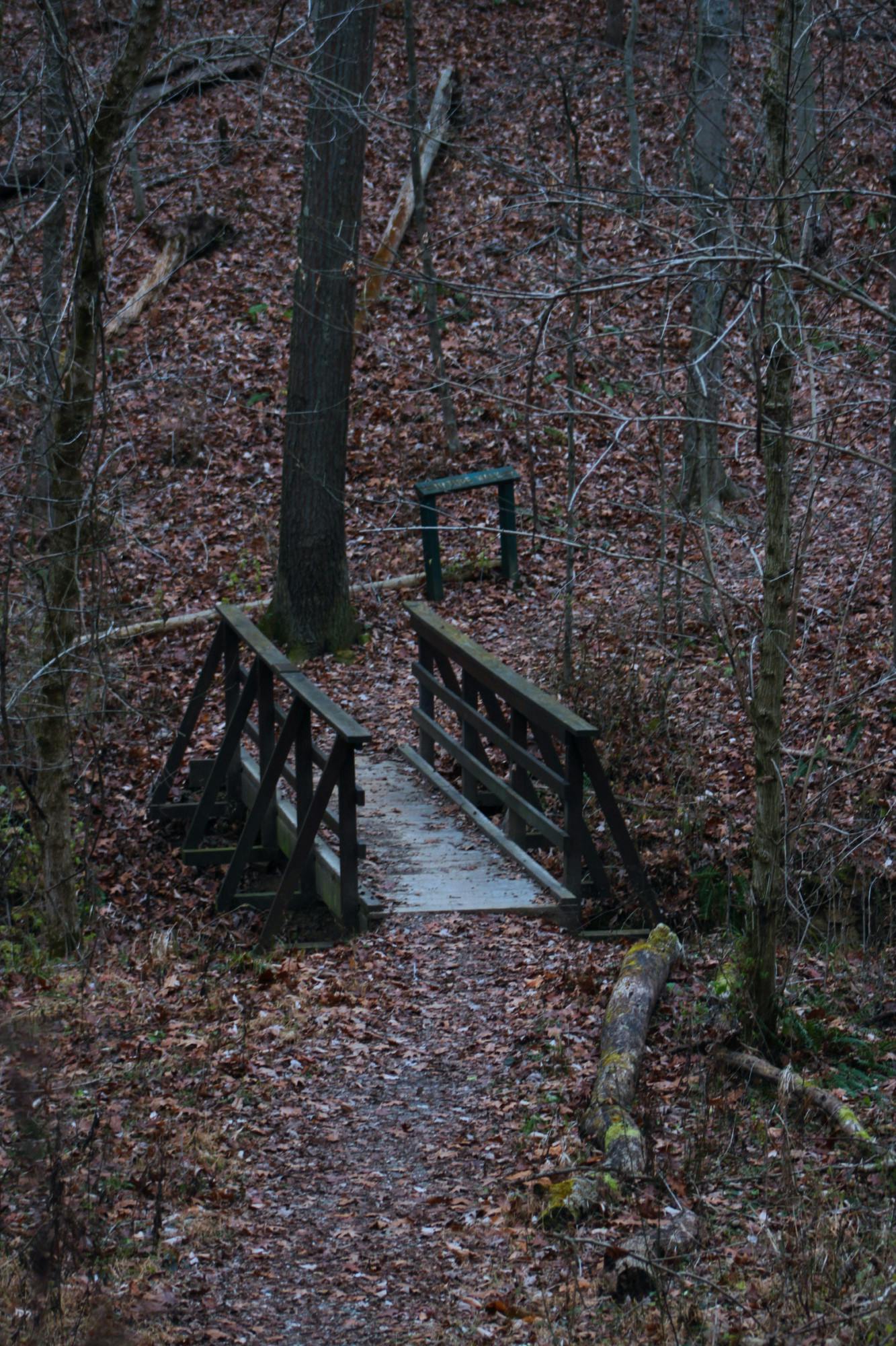 Cold weather in Athens _ Hedberg.jpg