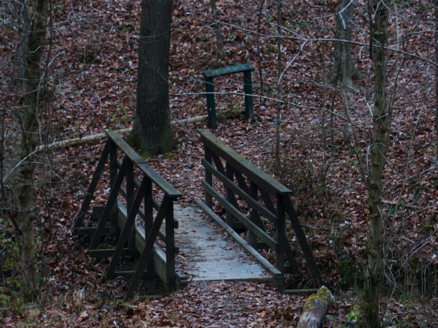 Cold weather in Athens _ Hedberg.jpg