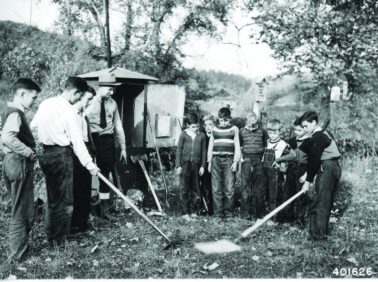 Ohio forest flourishes to 241,000 plus acres  