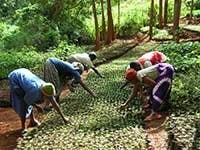 Sierra Club offering free film viewing; 'fracking' discussion to follow  