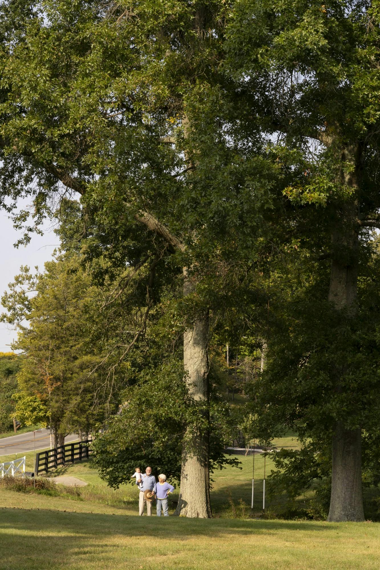 People and their Trees 01