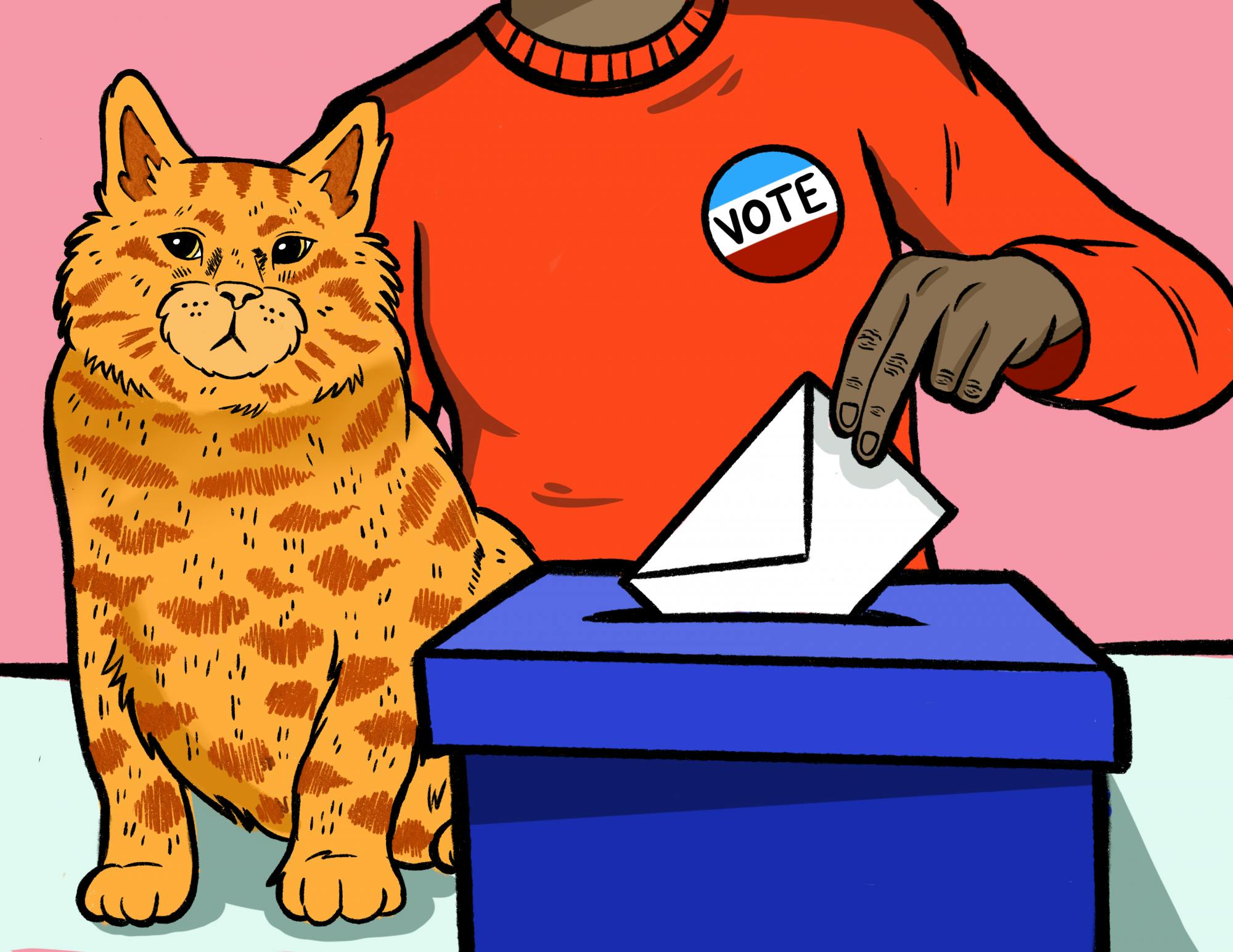 PALMA_Voting Registration_LA.png