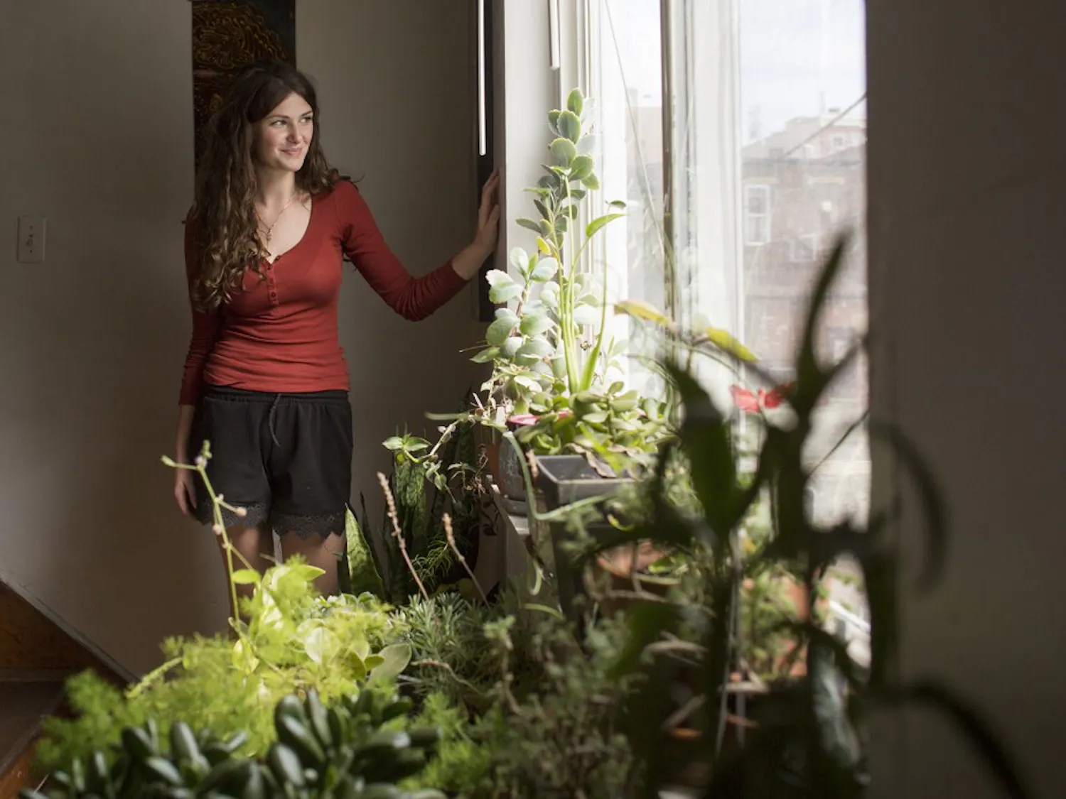 More Plants