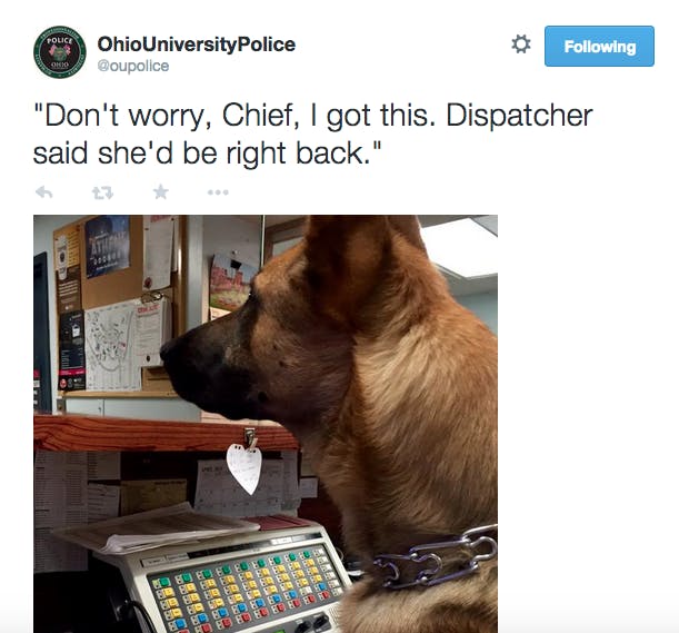 @oupolice on Twitter  