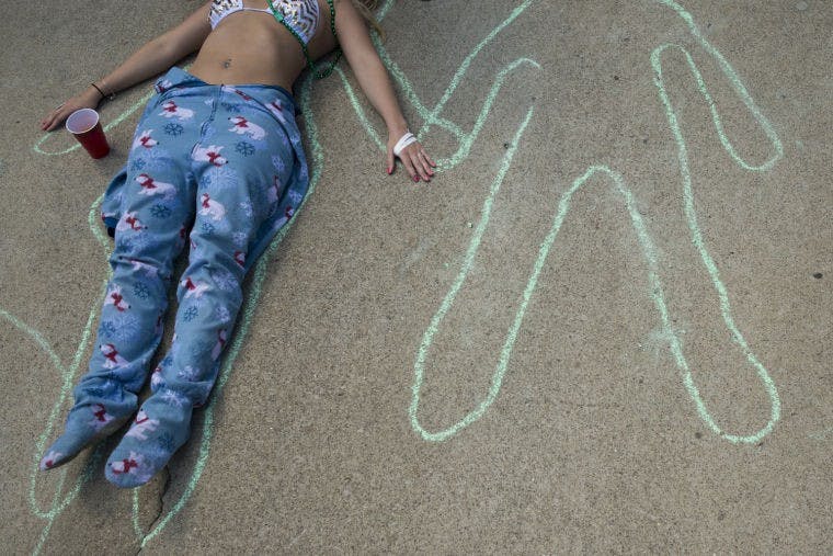 Slideshow: Palmer Fest  