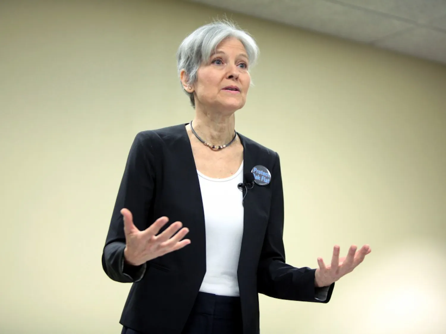 The Athens branch of the International Socialist Organization is supporting Green Party candidate Jill Stein. (Provided via Wikimedia Commons)