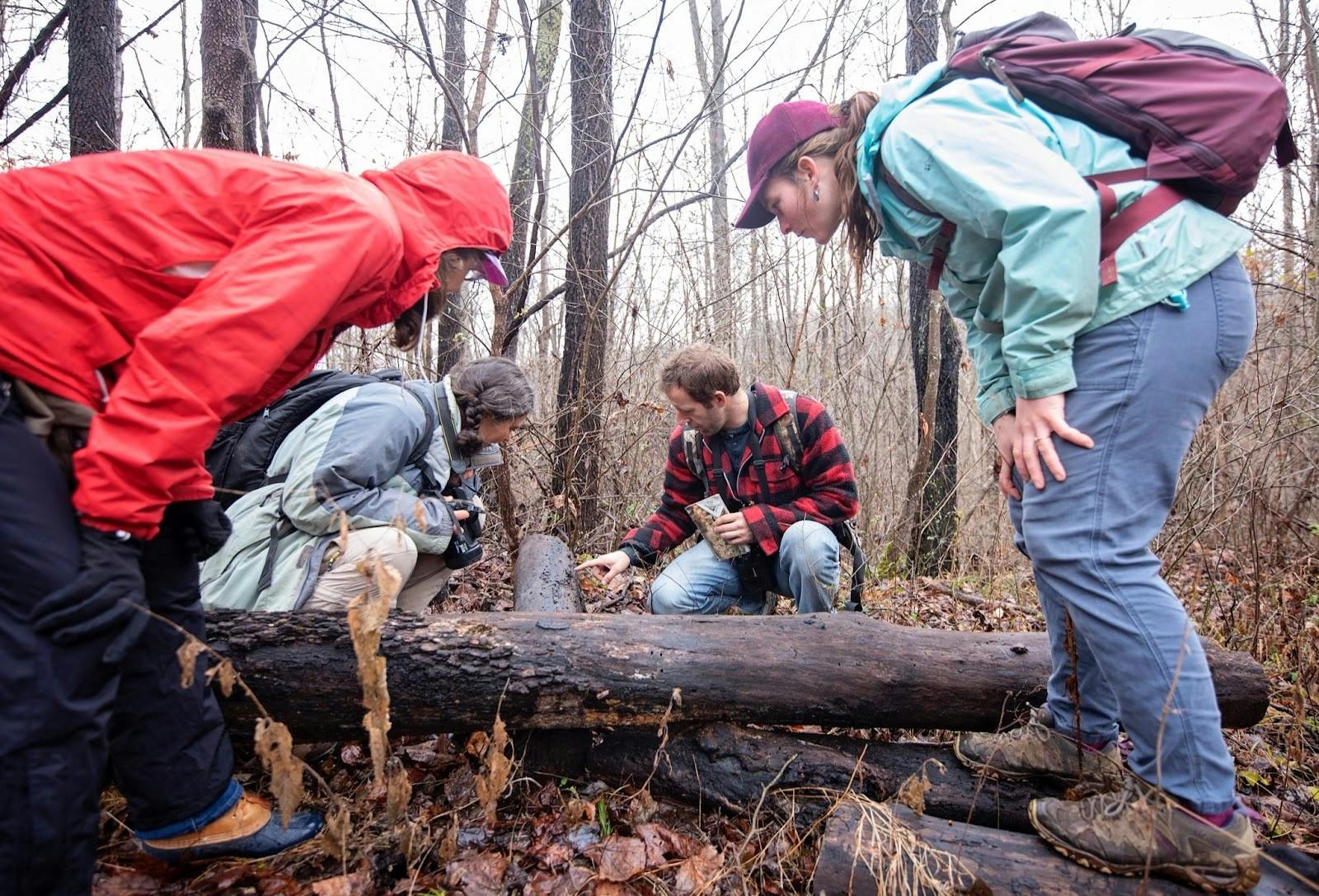 AppalachianUnderstories