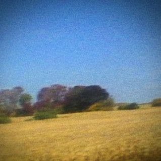 Sun Kil Moon  