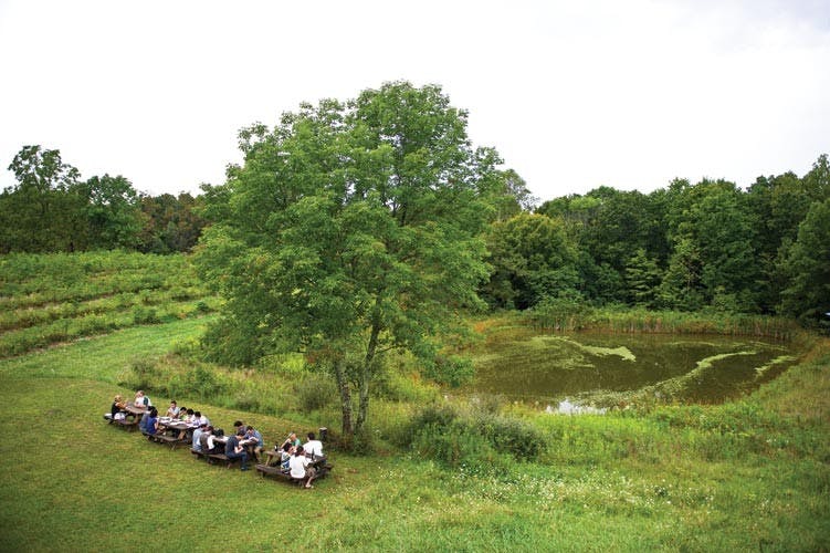 Local winery revels in booming business with celebration  