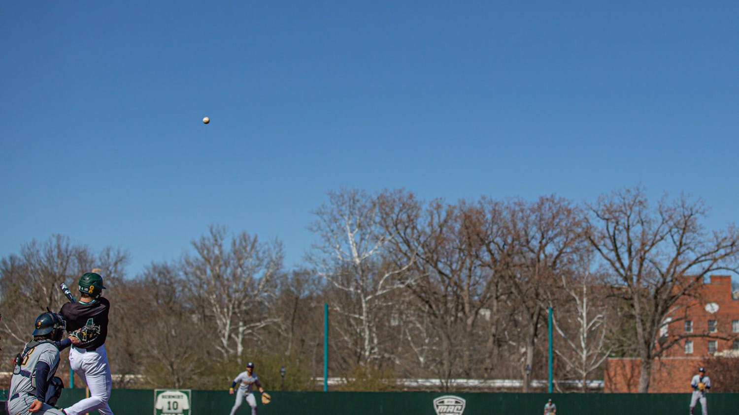 Toledo 4-10_Jarrold-Grapes-11.jpg