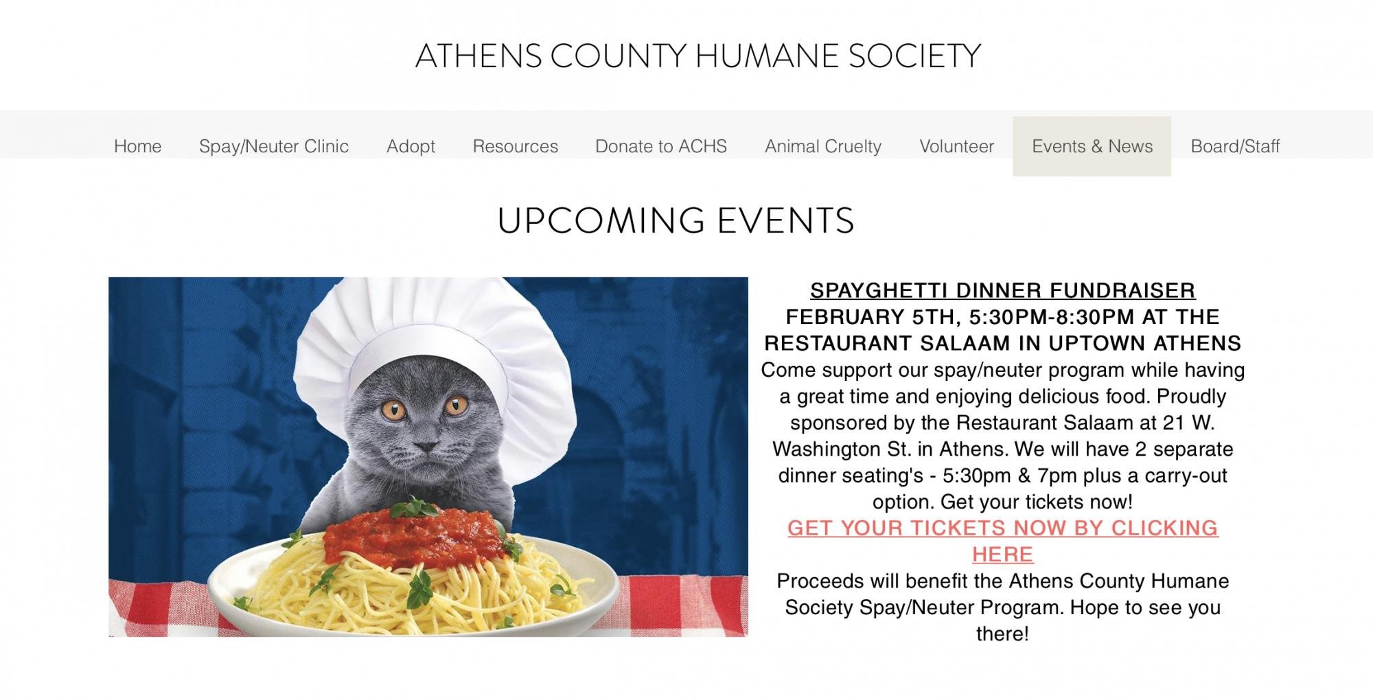 spay-ghetti dinner christy provided