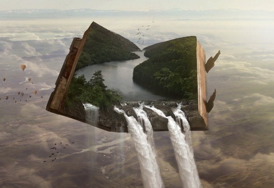 Screen Shot 2022-02-09 at 11.07.05 AM.png