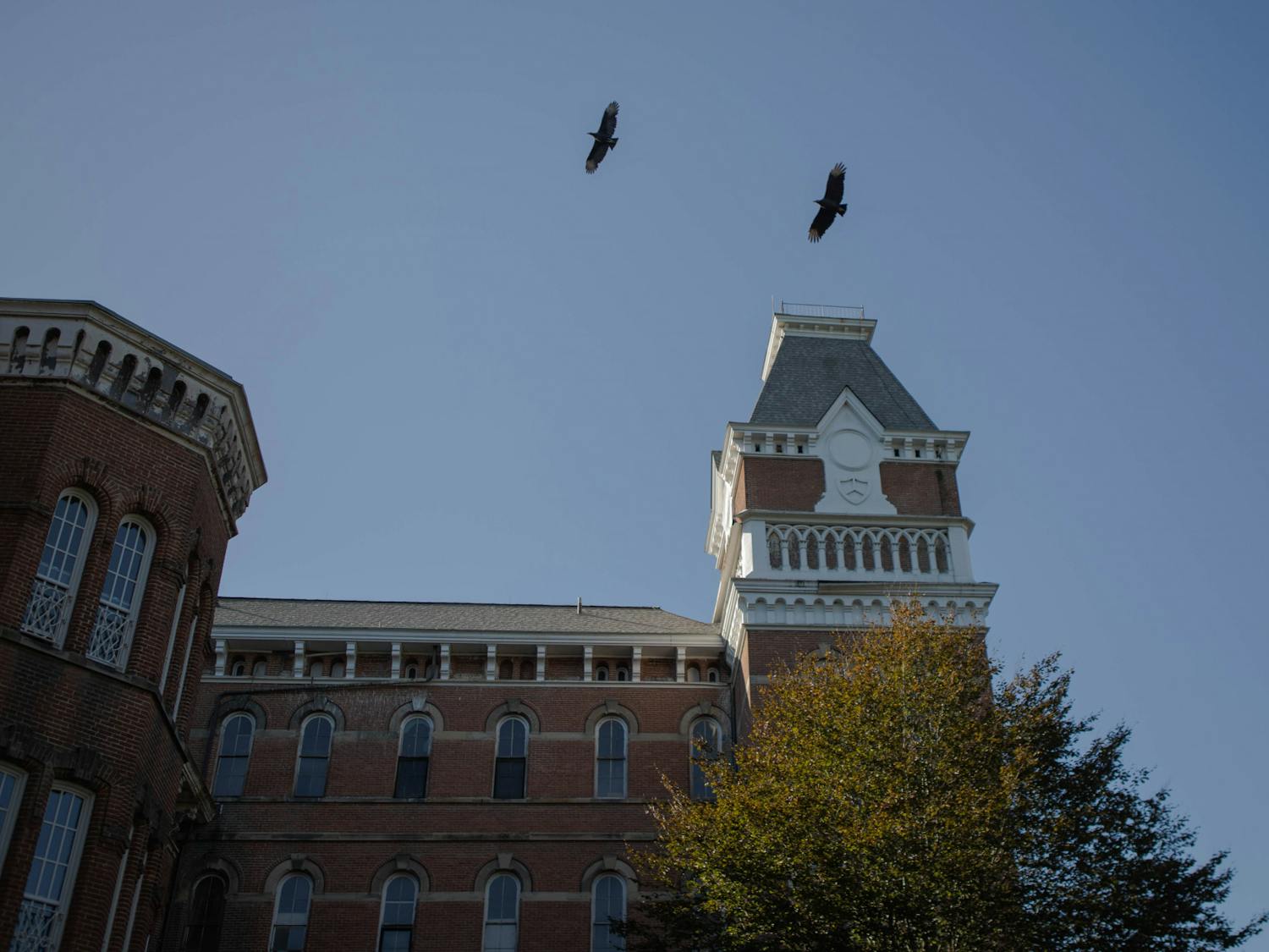 WeekenderMain-Ridges_Stark