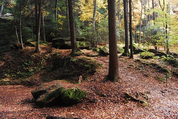 Art classes help students with mental illnesses  