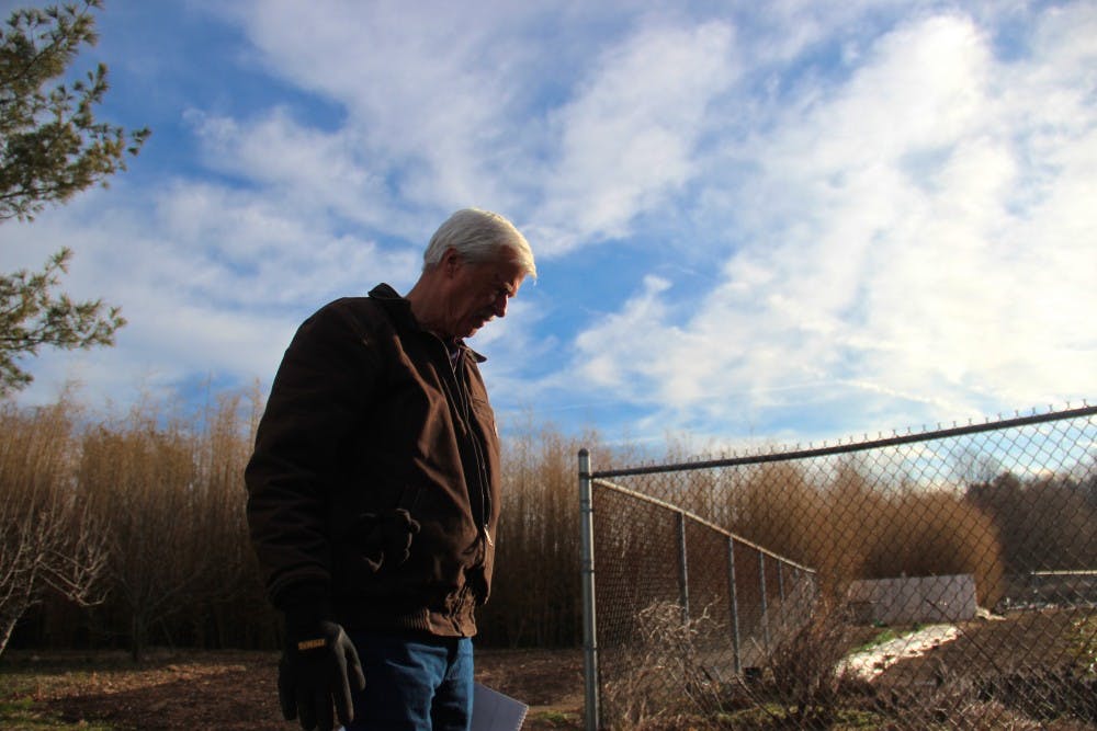Trese gazing at the plants 2.JPG