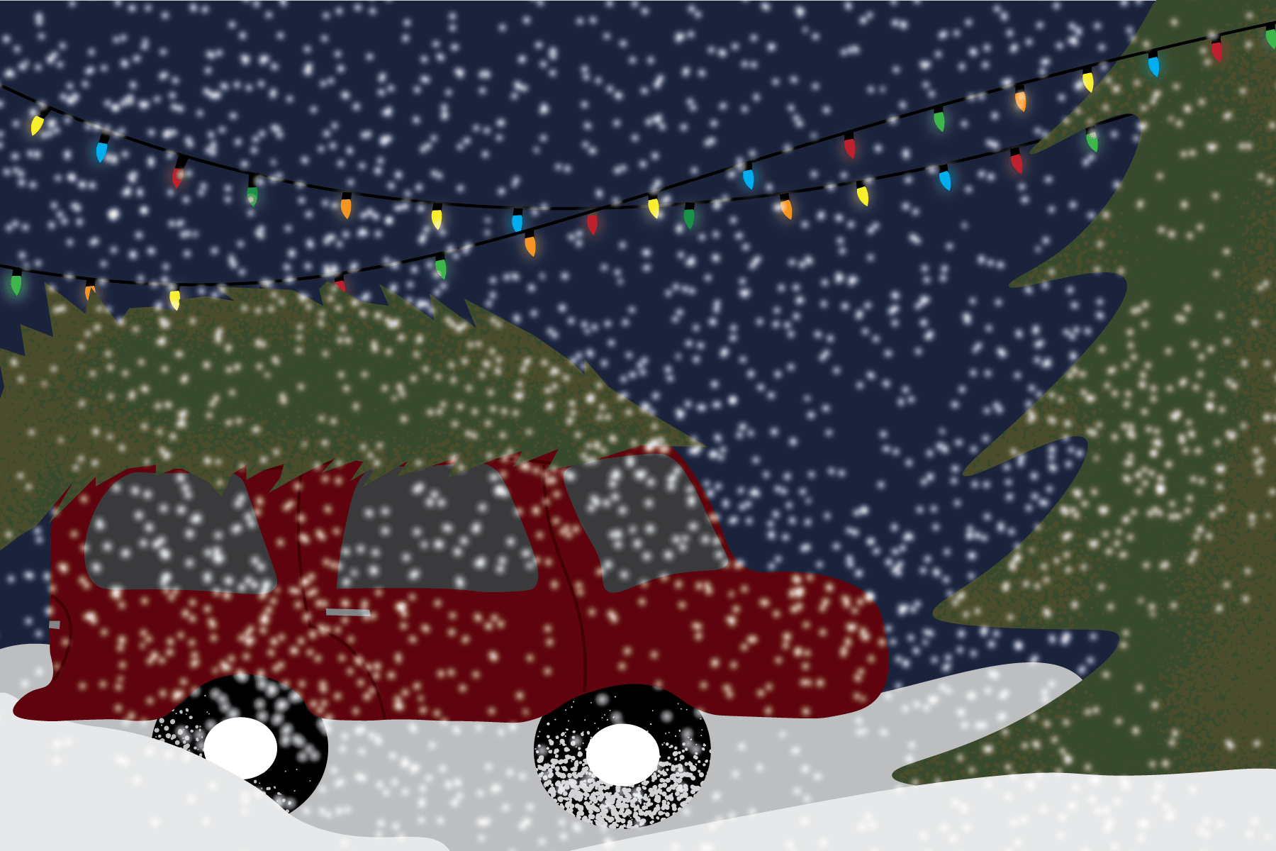 chirstmastreefarmsillustration-01.png