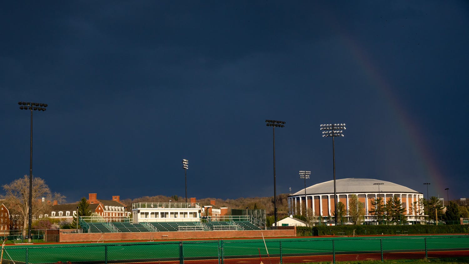 Athens Beautification.Jarrold-Grapes.jpg