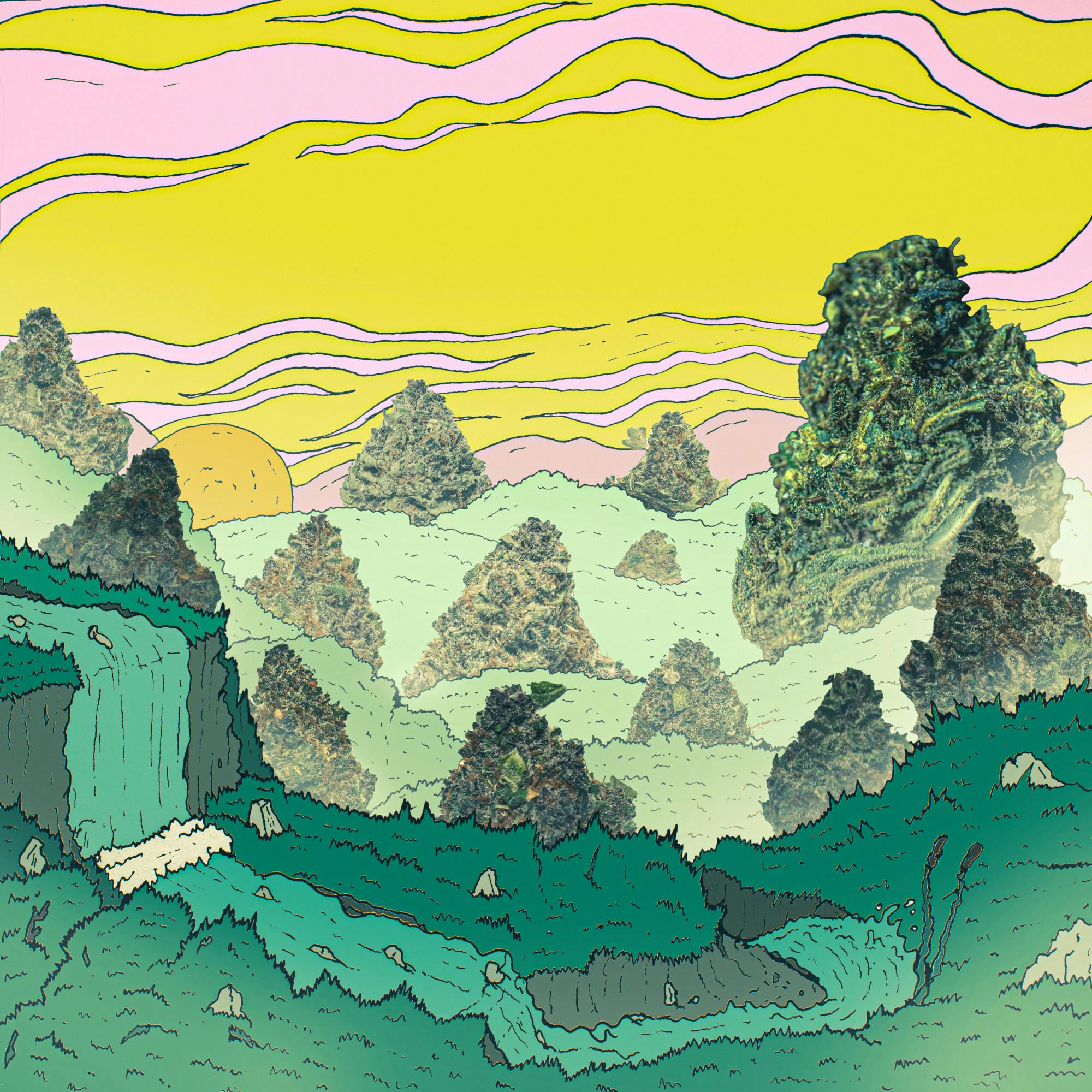 WeedEditionCover colorbright.jpg