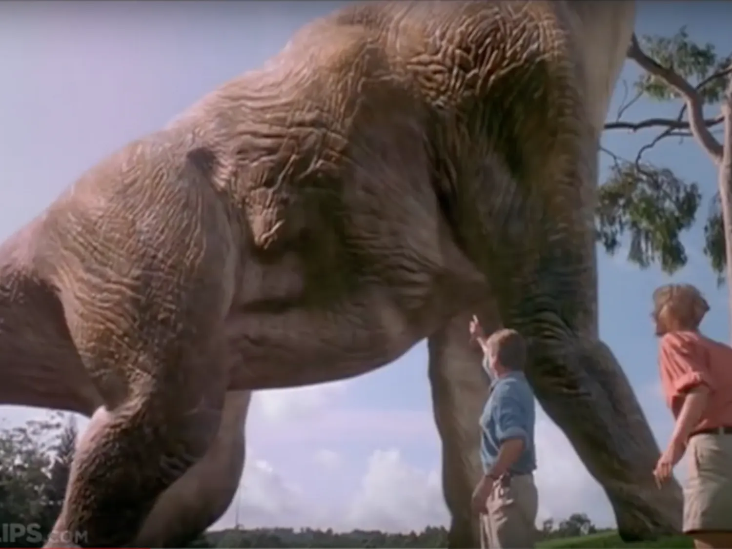 Screen Shot 2018-09-19 at 9.31.01 AM.png