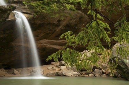 April flowers bring park prowlers  