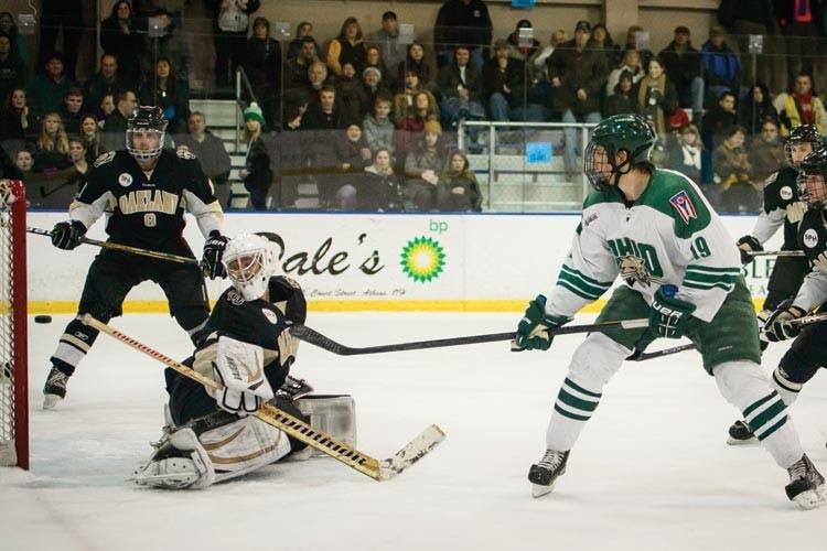 Hockey: Skaters' skills can't match tactics of Division I Lions  