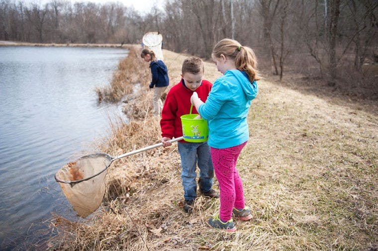 Bringing biodiversity  