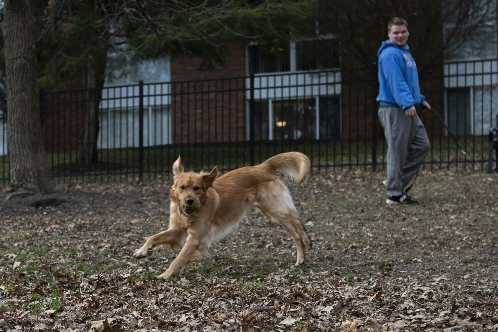 NelsonvilleDogPark_Cranfill.jpg