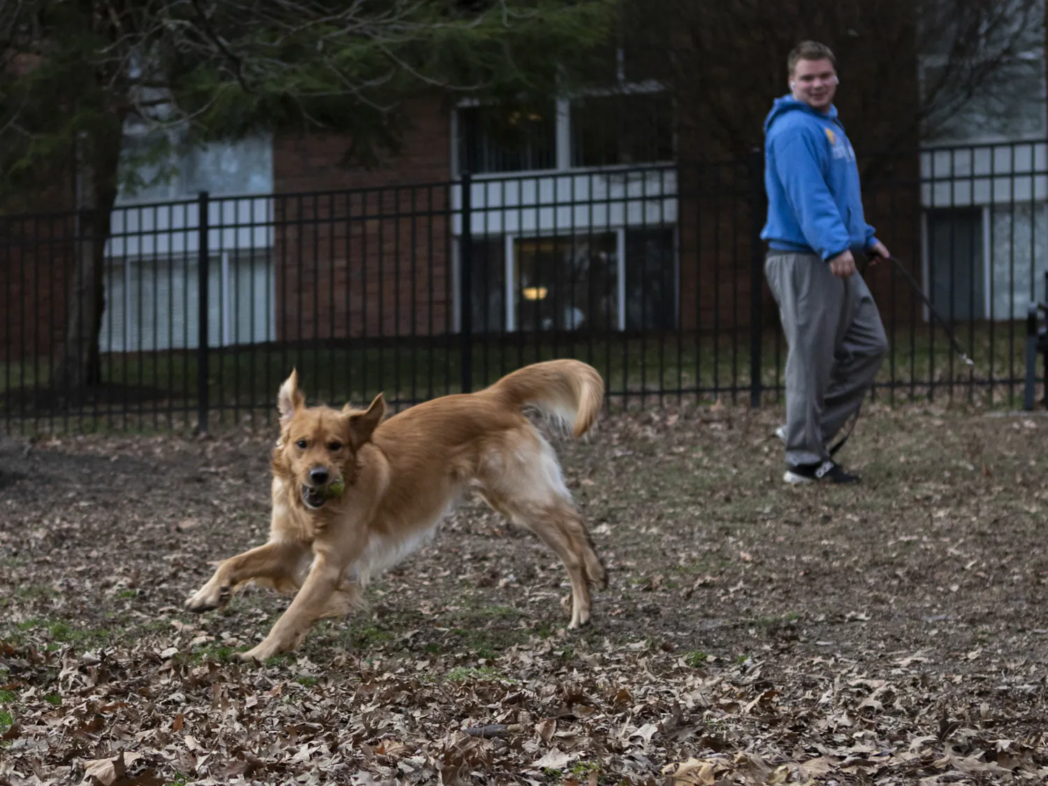NelsonvilleDogPark_Cranfill.jpg