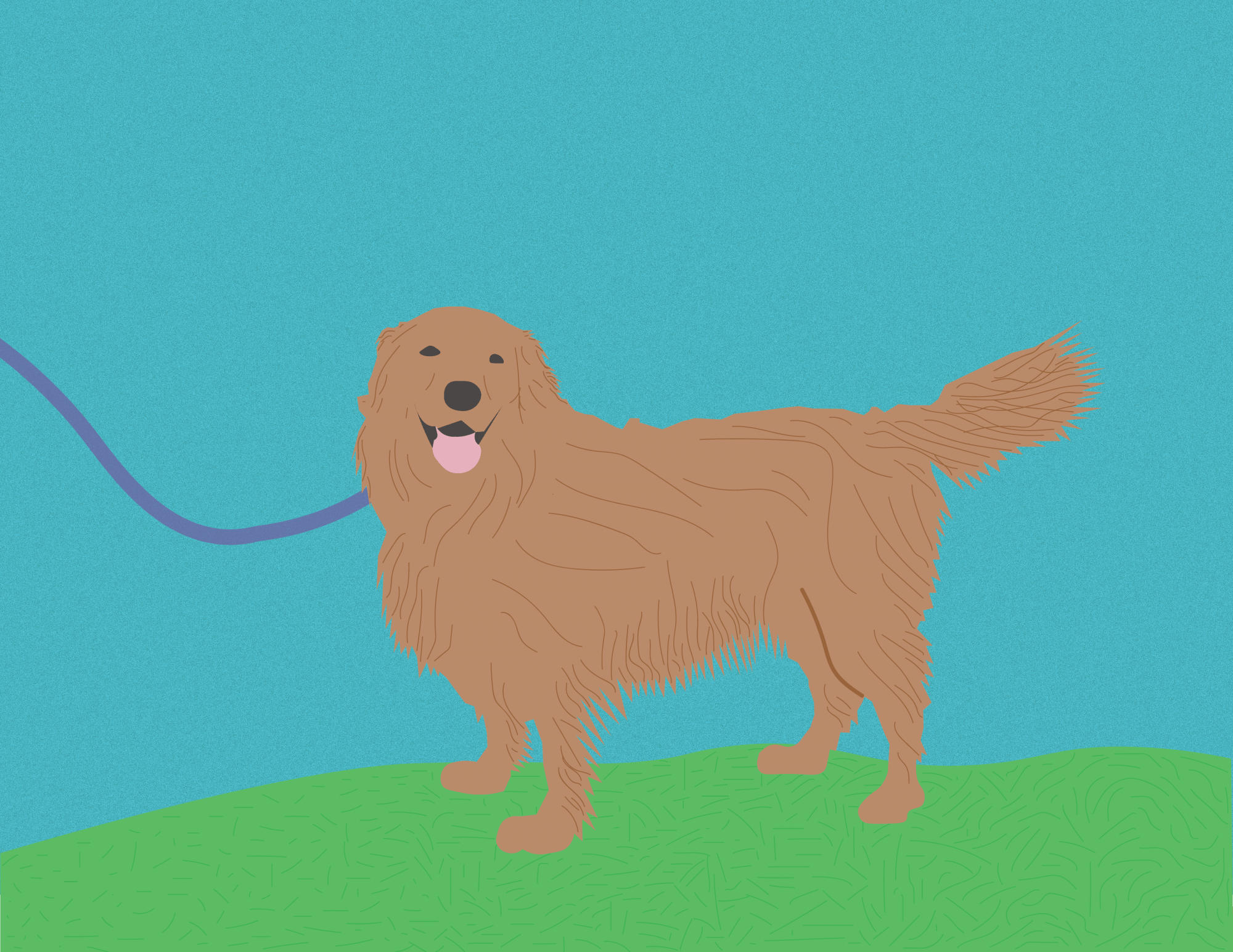 Heinl_VolunteerGroupFriendsoftheShelter_AK (1)-01.png