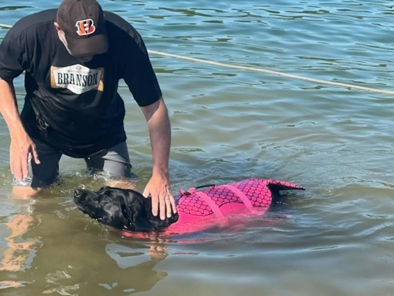 FOOTBALL....Tim Albin's Dog.jpeg