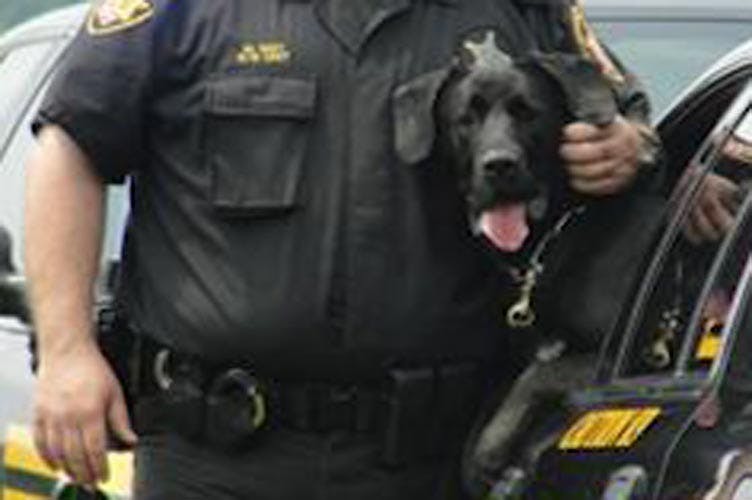 Officer's canine partner euthanized  