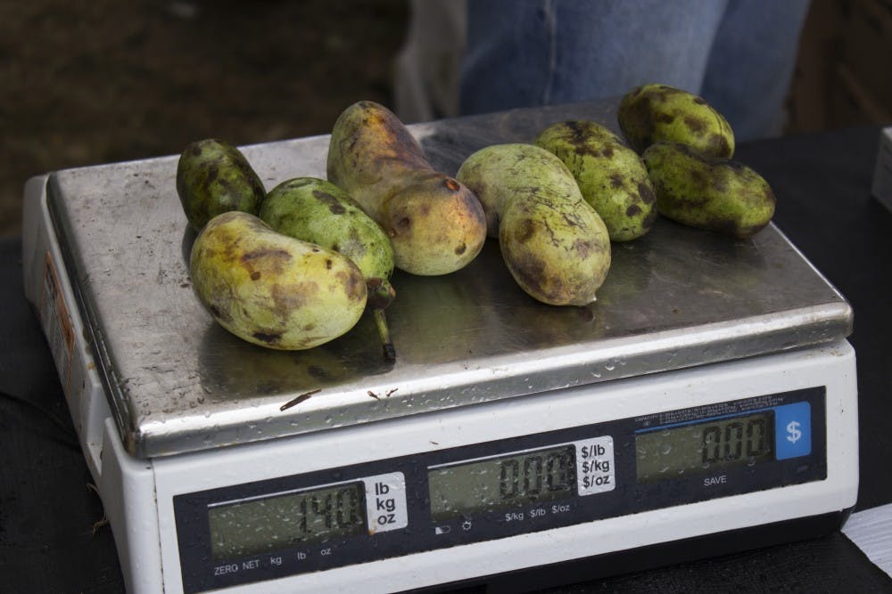 Paw Paw Festival 2016