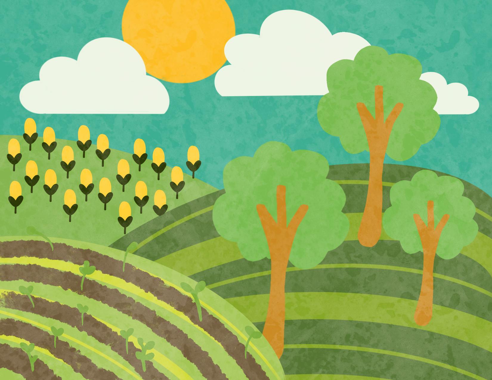 Schiopota_Sustainability_MB