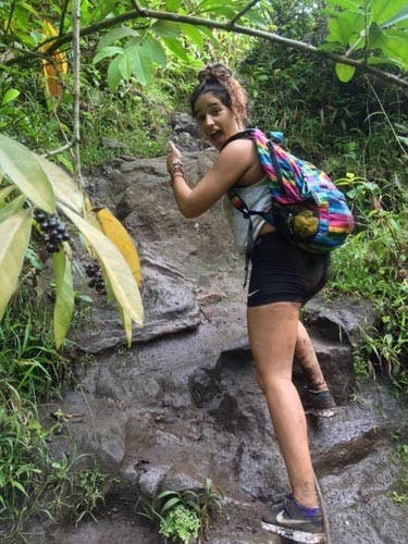 Student survives 60-foot fall in Hawaii  