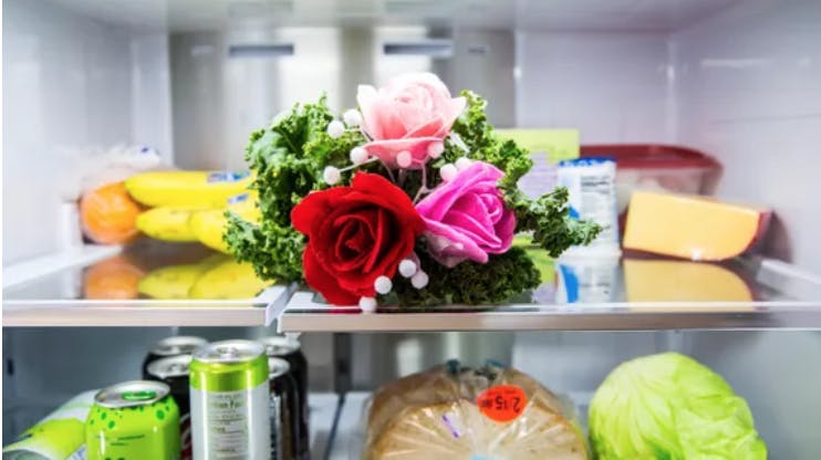 Screen Shot 2019-02-07 at 3.08.43 PM.png