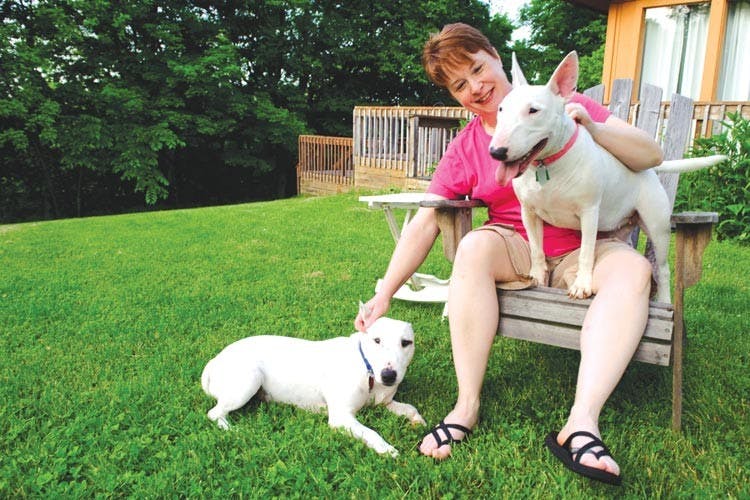 Canines to let loose at annual dog party  