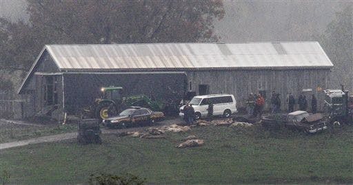 Exotic Animals Loose