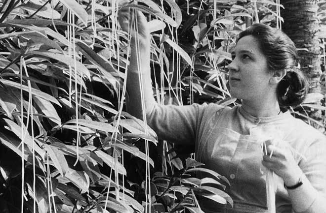 April Fools' Day pranks  