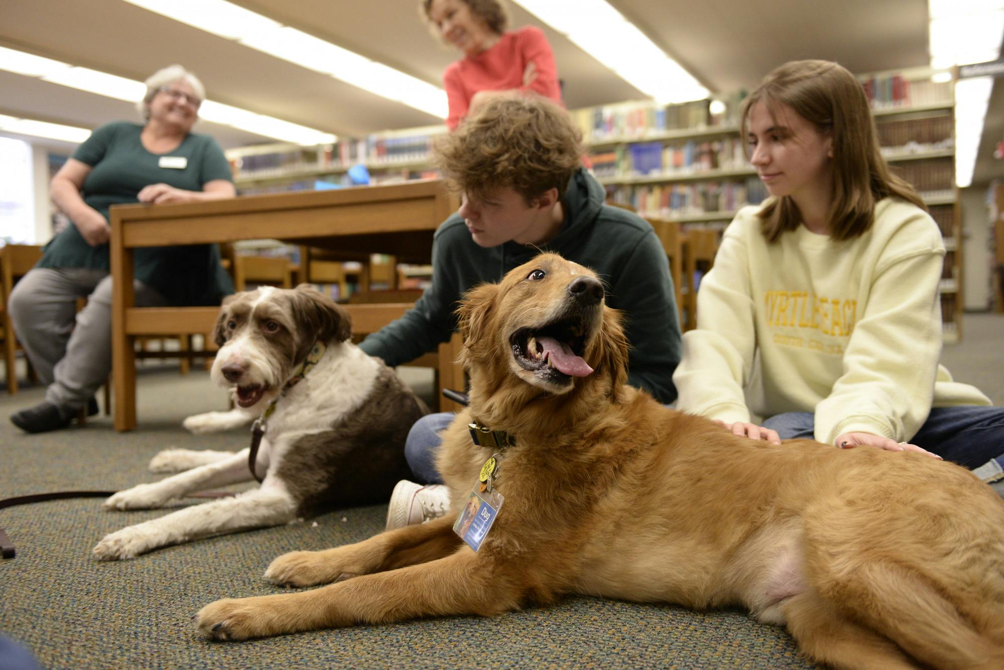 Therapy Dogs Bring Joy As Students Prepare For Finals - The Post