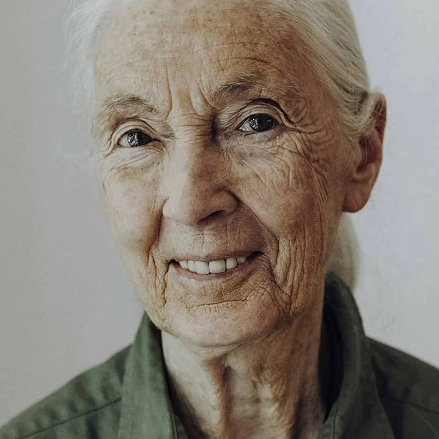 Vance_The Jane Goodall_Provided.jpg