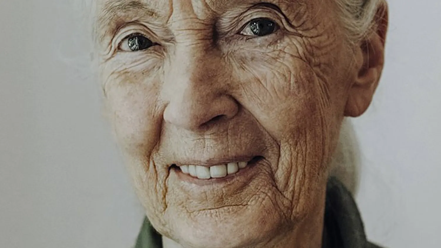 Vance_The Jane Goodall_Provided.jpg