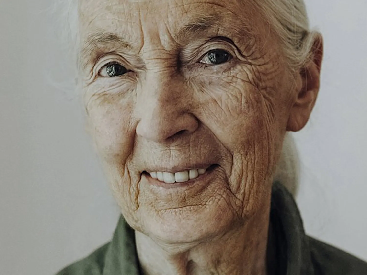 Vance_The Jane Goodall_Provided.jpg